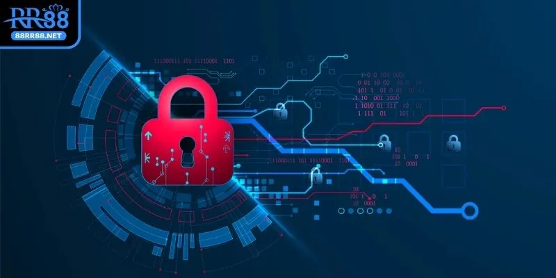 chinh-sach-bao-mat-vai-tro