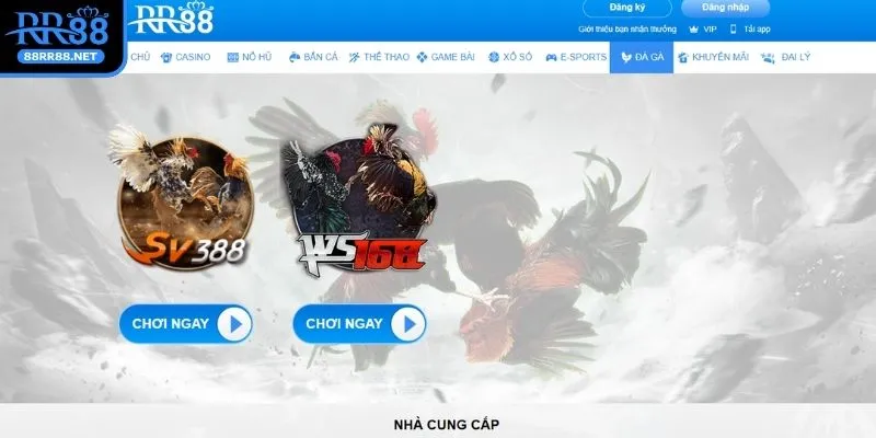 da-ga-rr88-gioi-thieu